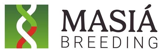 MASIÁ BREEDING